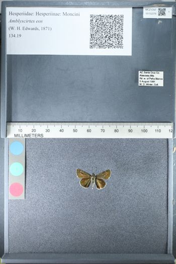 Media type: image;   Entomology 152276
